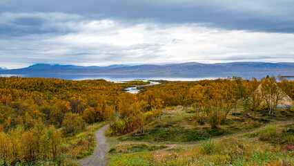 Fototapeta premium Autumn landscape in Abisko national park innorth of Sweden