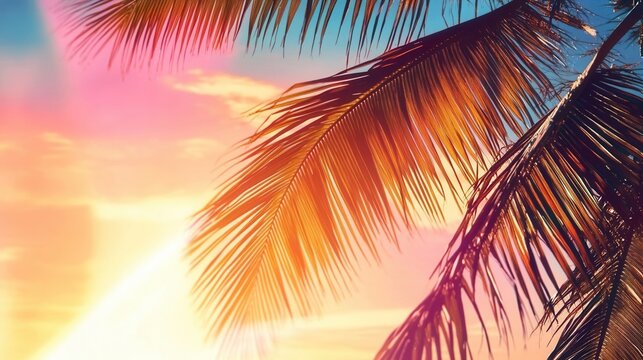 Colorful sunset with palm tree leaves silhouette.