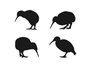 Kiwi silhouette original high-quality vector. Kiwi bird silhouette vector illustration. Silhouettes of kiwi birds. Kiwi bird silhouette icon. Kiwi silhouette set isolated on a white background.