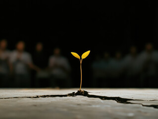 lone seedling sprouting from cracked concrete floor symbolizes resilience and hope