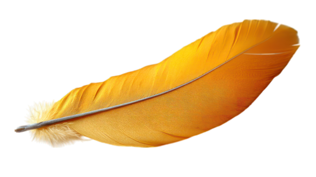 yellow feather isolated on white background