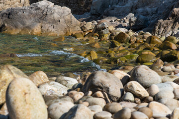 pebble beach and wave