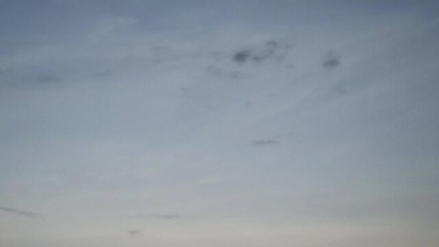 A swallow flying high in the orange sky in the afternoon 4k video. Apodidae