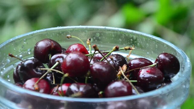 Bowl of fresh red cherries rotating on the table background in the garden. Fresh juicy spinning cherry berries top view. Summer harvest