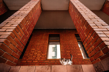 stairway to heaven