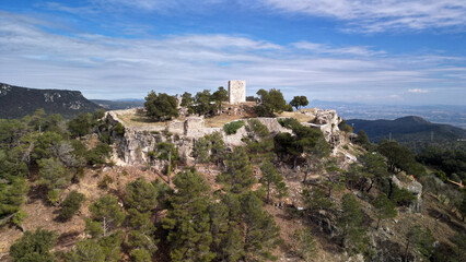 CASTELL DE L'ALBIOL-ALBIOL-BAIX CAMP-COSTA DAURADA-TARRAGONA
