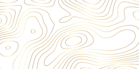 Abstract topography wave lines pattern on white background, topographic contours map background, geographic contour map vector background, White paper curved reliefs for background.