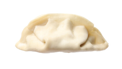 One fresh gyoza dumpling isolated on white