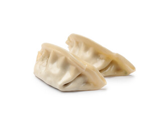 Fresh gyoza dumplings isolated on white. Chinese cuisine