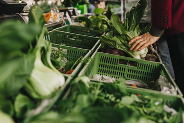 Close up of hands buying greens on the local Farmers market. Customer Shopping At Farmers Market...