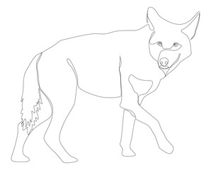 One Line Drawing of Red Wolf