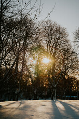 Mroźny słoneczny dzień © Katarzyna