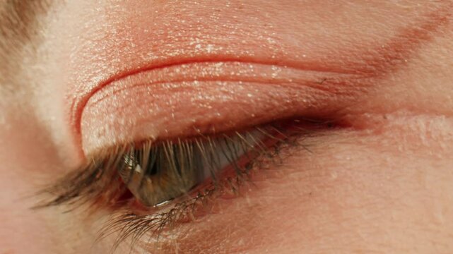 Eye shadow makeup to the upper eyeliner, close-up. Makeup artist applies a bright eye shadow with a makeup brush.Tutorial master class of professional makeup. 