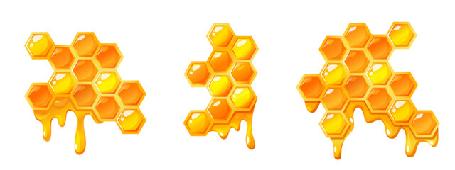 Vector cartoon picture of honeycomb structure different types isolated on white background.