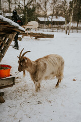 Skansen