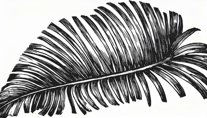 Obraz premium Palm leaf hand drawn crayon brush illustration. Foliage black tropical jungle leaves monstera, banana tree leaf texture silhouette elements. Hand drawn grunge black texture. perfect any project.