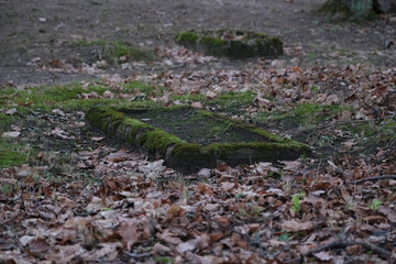 moss covered rectangle border that marks old grave. Old Latvian country cemetery.