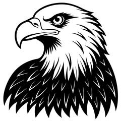 Obraz premium bald eagle head