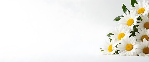 yellow and orange flowers on white background,Gerbera flowers isolated on white background,celebration, flower, leaf, rose, bouquet, white, beauty, nature, orange,45