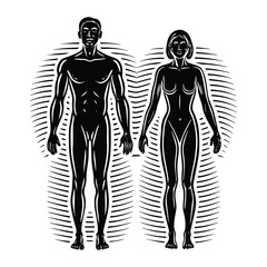 A simple male and female human body silhouette, standing side by side. Both figures have neutral poses, with smooth outlines, showcasing basic anatomical proportions.
