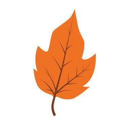 Obraz premium orange autumn leaf illustration. suitable for autumn themed designs, nature concepts, environmental campaigns, and botanical presentations