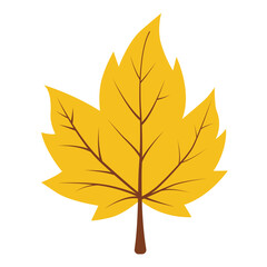 Yellow leaf with prominent brown veins. Perfect for autumn designs, nature themed projects, or seasonal marketing materials that evoke fall vibes