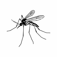 mosquito sucking blood