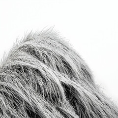 Obraz premium Close-up monochrome shot of fluffy animal fur against a white background; ideal for texture website design