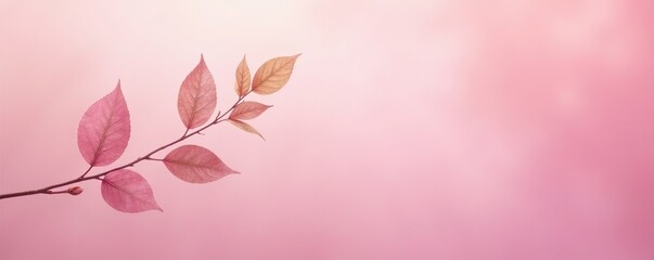 Delicate leaf branch on soft pastel pink background, abstract, gentle, colorful
