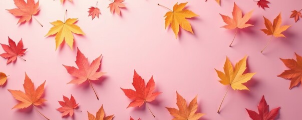 Delicate maple leaves scattered on a soft pink background with subtle shading effects, maple, autumn, color