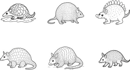 Armadillo vector on white background