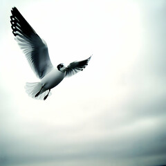 Fototapeta premium Seagull in flight over cloudy sky, peaceful scene, nature background, ideal for travel or environmental themes