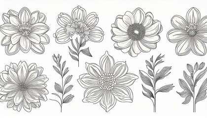 Flower set continuous outline style. Decoration flower, botanical floral element, blossom one line art for wedding, spring concept background. perfect any project.