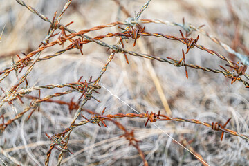 rusty barbed wire protecting the properties 