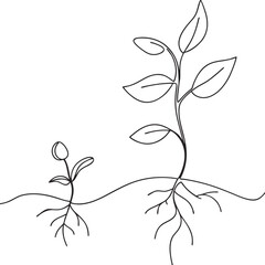 Plant Growth Stages Seedling Development, Roots, and Leaves