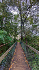 Obraz premium wooden bridge in the forest