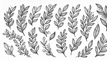 Naklejka premium Leaf branch wreath rustic set. Hand drawn sketch doodle style leaf. Flourish branch, laurel flower for border, divider design element. perfect any project.
