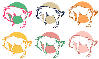 Multiple colors or bucking appaloosa horses