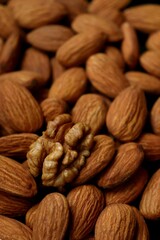 almond, food, nut, almonds, snack, nuts, healthy, brown, seed, ingredient, raw, organic, close-up, macro, heap, isolated, closeup, natural, dry, diet, group, pile, protein, white, fruit