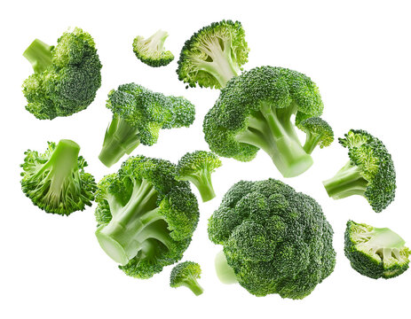 broccoli florets falling isolated on white background, cutout