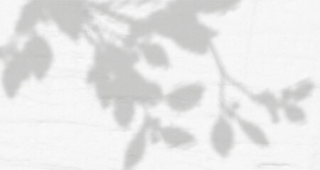 Abstract shadow of leaves and branches on white concrete wall.Soft overlay of natural light.Tropical blurred leaf.Natural light layout.