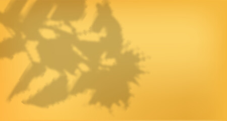 Abstract shadow of leaves and branches on white concrete wall.Soft overlay of natural light.Tropical blurred leaf.Natural light layout.