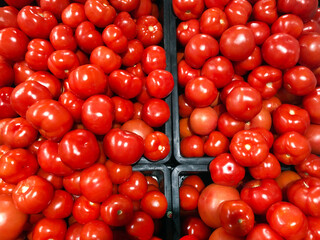 Ripe and delicious red tomatoes in the box. Harvesting tomatoes on the farm.