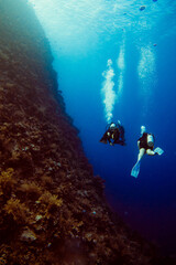 Nurkowanie przy rafie koralowej © Katarzyna