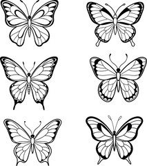 Butterfly beauty silhouette vector art illustration 