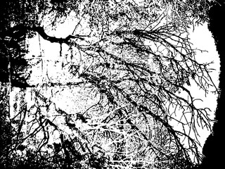 Rustic cracked vector texture with many cracks and scratches. Abstract background. Broken and damaged surface.