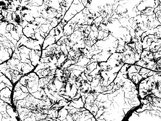 Rustic cracked vector texture with many cracks and scratches. Abstract background. Broken and damaged surface.