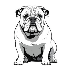 Stylish Black and White Illustration of a Bulldog/A captivating black and white illustration of a Bulldog.