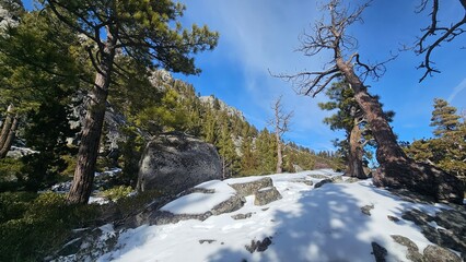 mountain river in the forest
