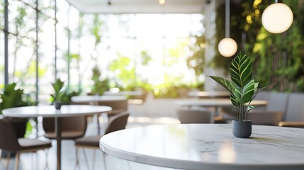 Fototapeta premium Serene Cafe Interior: Plant Centerpiece on Marble Table